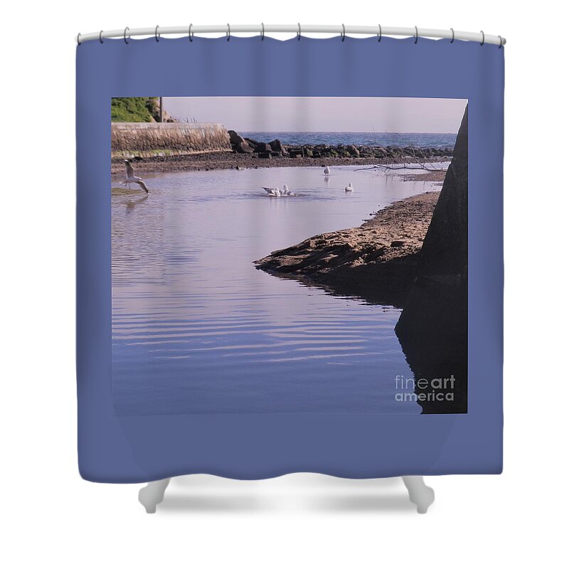 Seabird Shower Curtain featuring the photograph Sam the Seagull Playtime by Julie Grimshaw