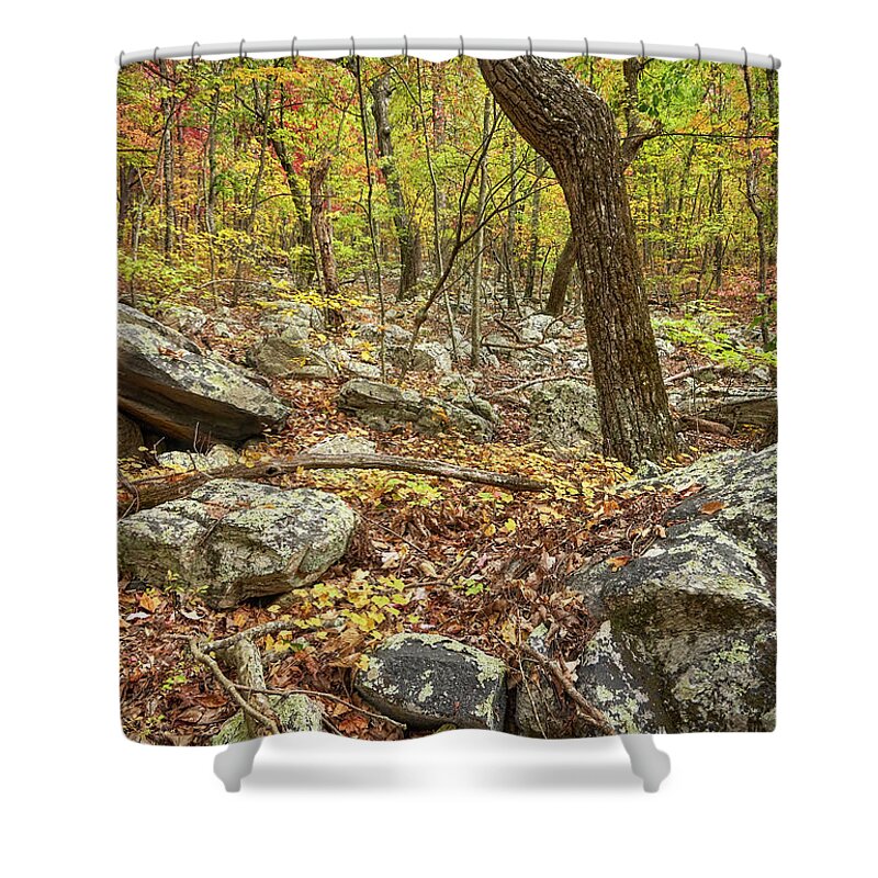 Cheaha State Park Shower Curtain featuring the photograph Sanctuary by Bill Chambers
