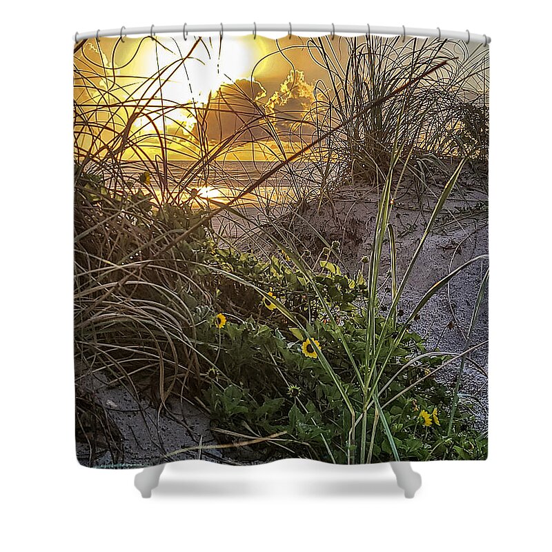 Sunrise Shower Curtain featuring the photograph Sand Dune Sunflowers at Sunrise by Danny Mongosa