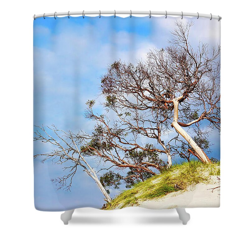 Tantalizing. Tasmania Shower Curtain featuring the photograph Sand Dune with Bent Trees by Lexa Harpell