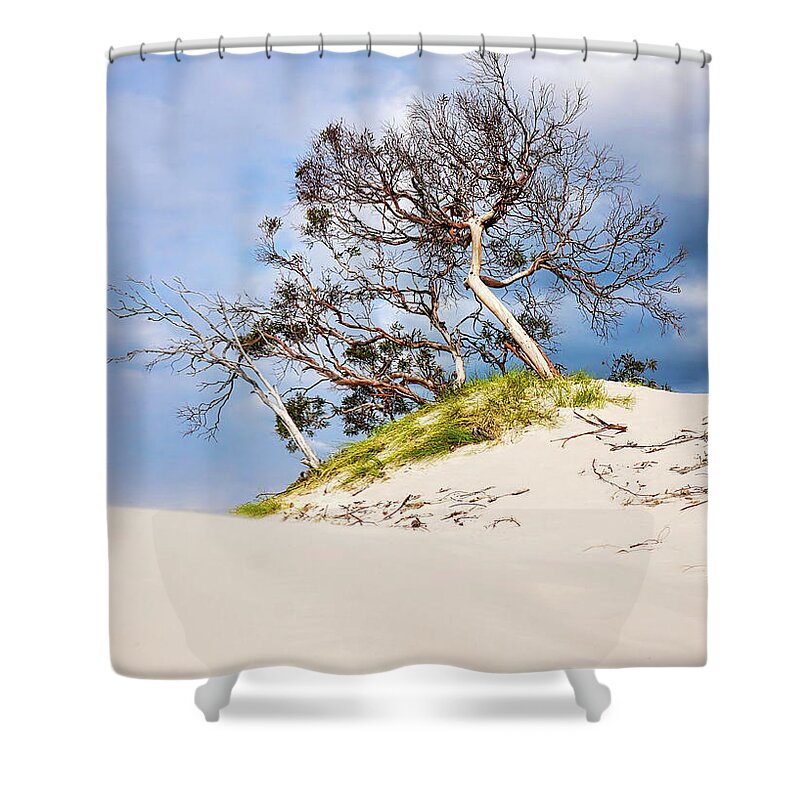 Beach Shower Curtain featuring the photograph Sand Dunes with Bent Trees 2 by Lexa Harpell