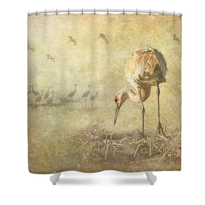 Sandhill Crane Shower Curtain featuring the photograph Sandhill Crane Nesting Composite by Patti Deters