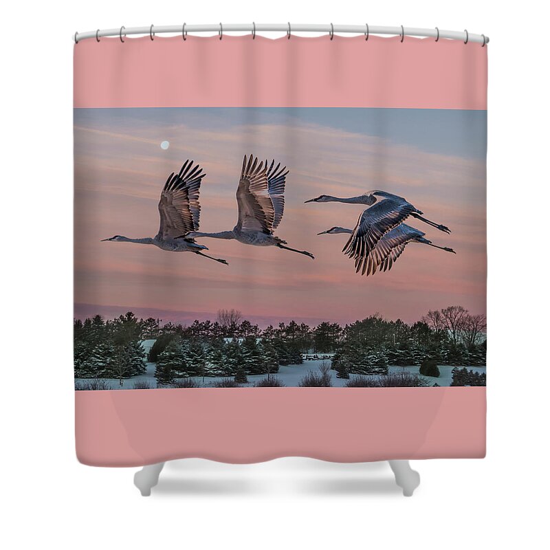 Sandhill Crane Shower Curtain featuring the photograph Sandhill Cranes in Flight by Patti Deters