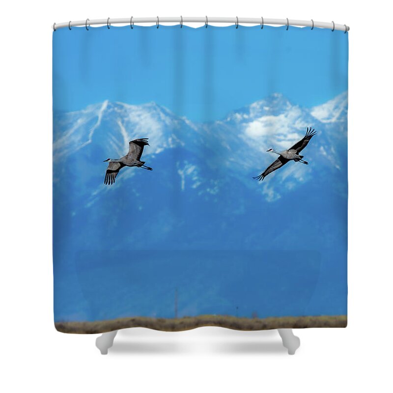  Sandhill Migration Shower Curtain featuring the photograph Sandhill Migration by Bitter Buffalo Photography