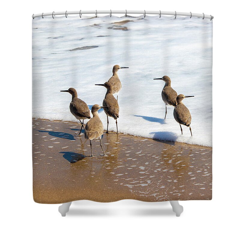 Bird Shower Curtain featuring the photograph Sandpipers Ocean Stakeout by Blair Damson