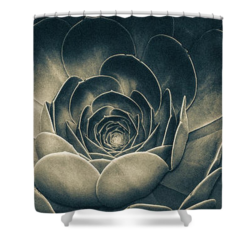 Artistic Shower Curtain featuring the photograph Santa Barbara Succulent#12 by Jennifer Wright