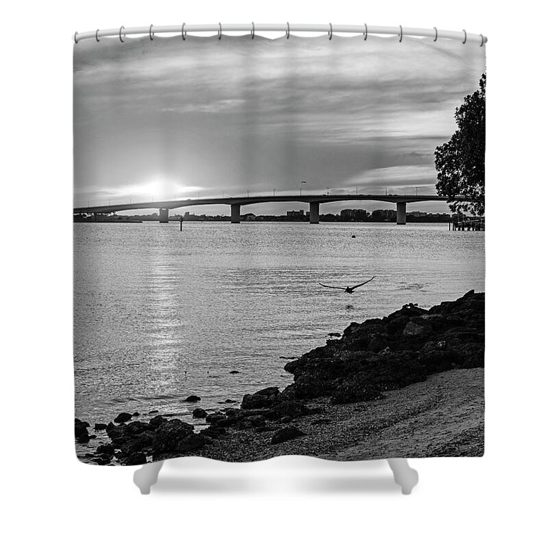 Sarasota Shower Curtain featuring the photograph Sarasota FL Bayfront Park Sunset John Ringling Causeway Bridge Florida Pelican Black and White by Toby McGuire