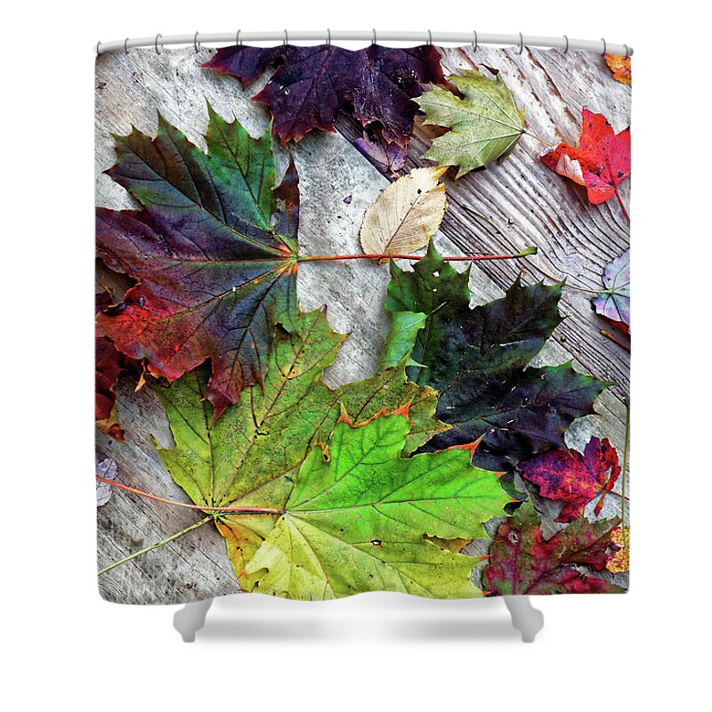 Scattered Autumn Leaves Shower Curtain featuring the photograph Scattered Autumn Leaves by Doolittle Photography and Art
