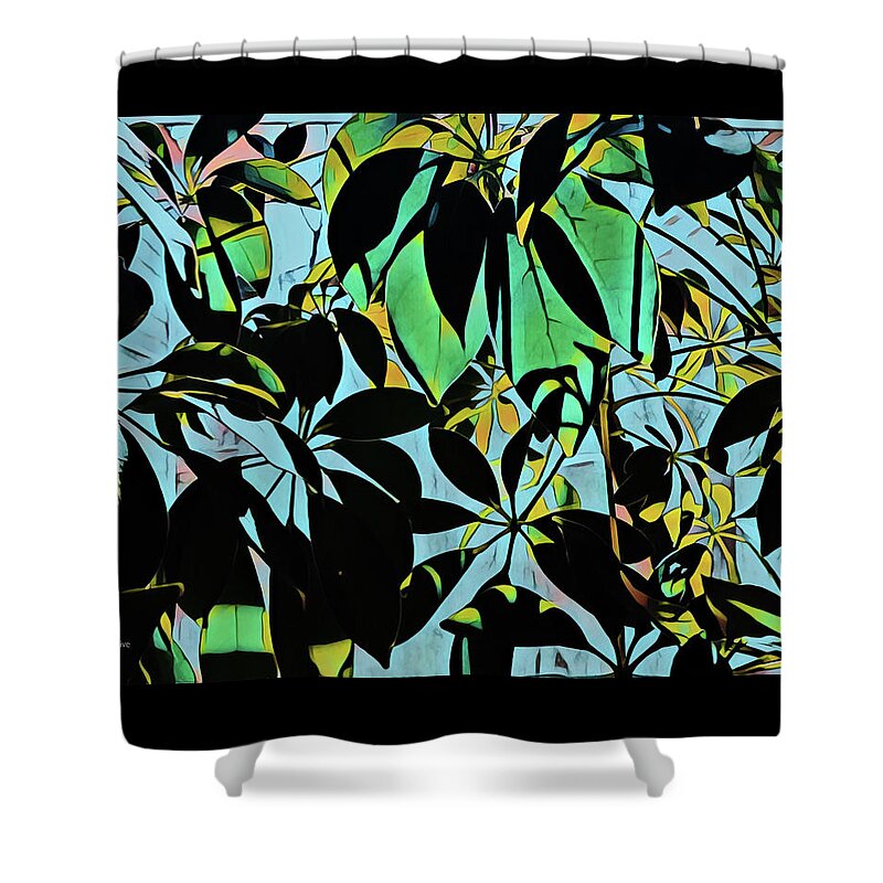 Plant Shower Curtain featuring the photograph Schefflera by Tim Nyberg