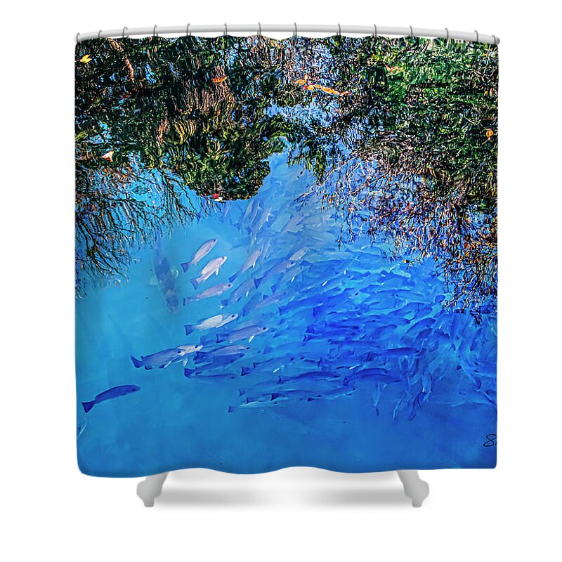 Fish Shower Curtain featuring the photograph School Daze of Fishes by Shara Abel