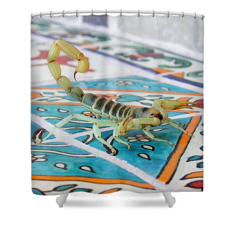 Scorpion Shower Curtain featuring the photograph Scorpion by Perry Hoffman