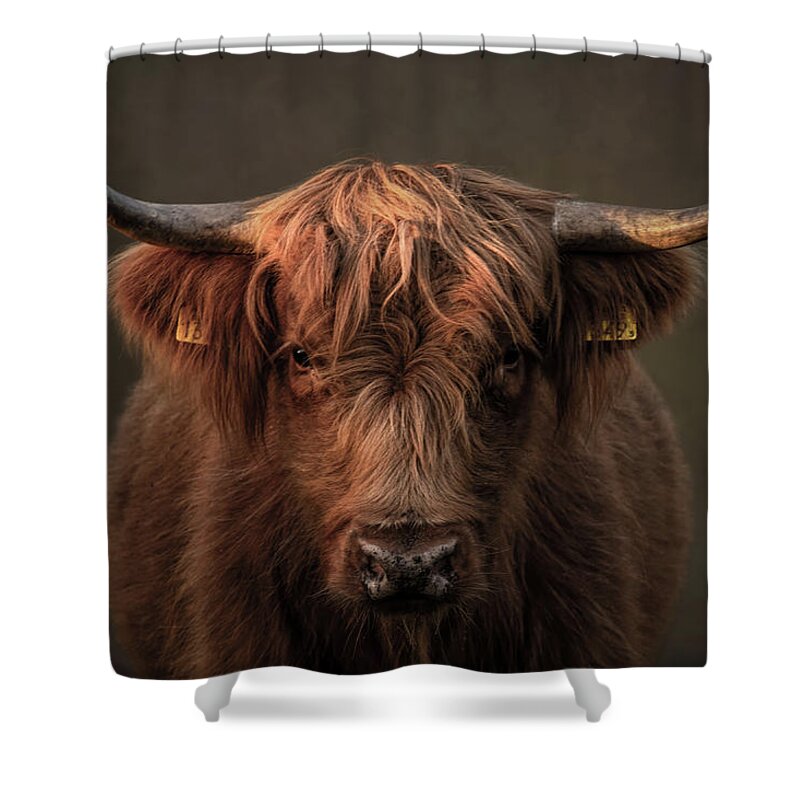 Scottish Highlander Shower Curtain featuring the digital art Scottish Highlander Portrait in brown by Marjolein Van Middelkoop
