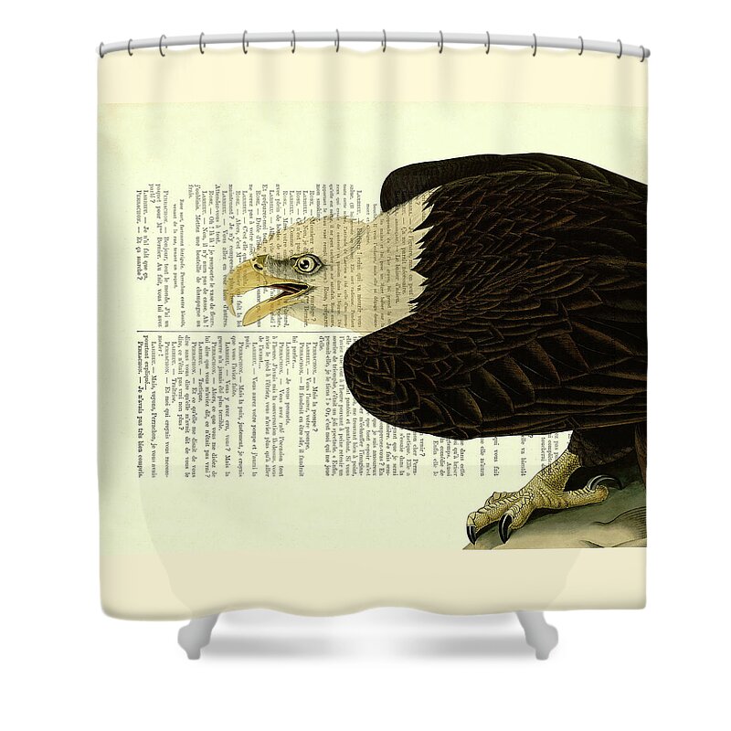 Sea Eagle Shower Curtain featuring the digital art Sea Eagle Book Page Art by Madame Memento