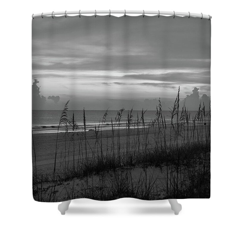 Beach Shower Curtain featuring the photograph Sea Oats against Horizon on Florida Beach by James C Richardson