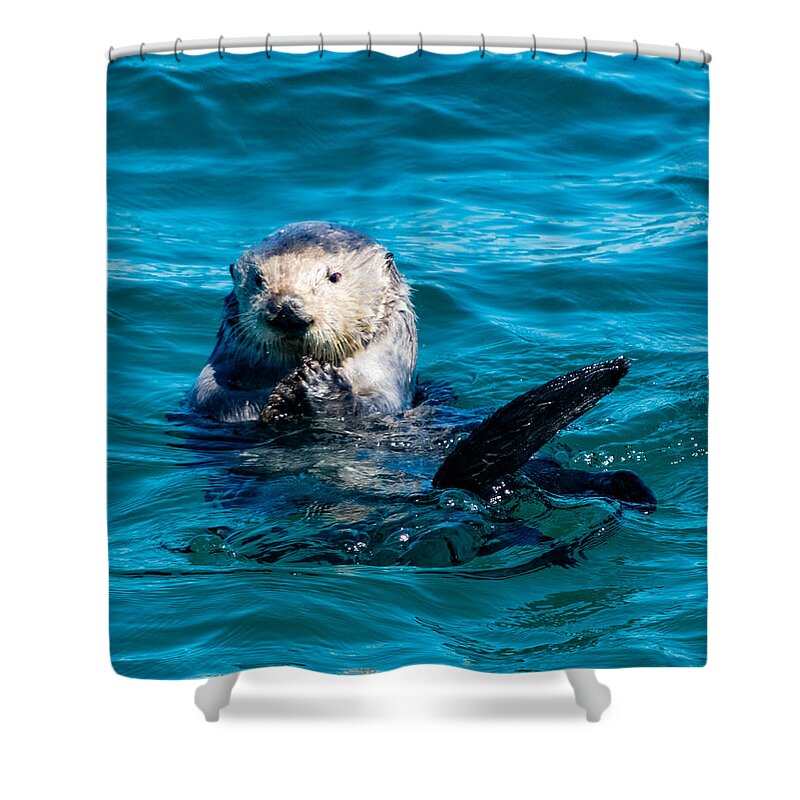 Sea Otter Shower Curtain featuring the photograph Sea Otter Snack Time by Bonny Puckett