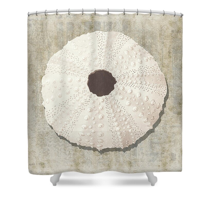 Shell Shower Curtain featuring the painting Sea Urchin I with gold distressed background by Nikita Coulombe