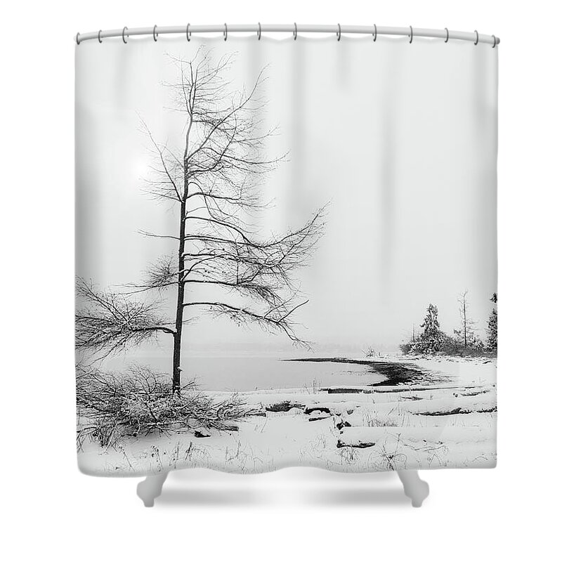 Landscape Shower Curtain featuring the photograph Seaborne Trees and Sun Black and White by Allan Van Gasbeck