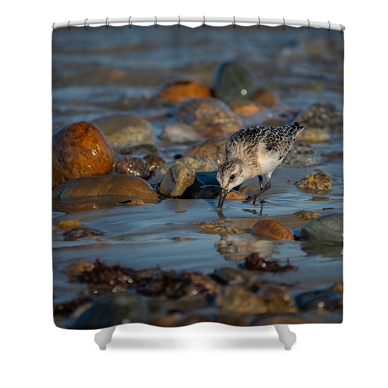 Rocks Shower Curtain featuring the photograph Seafood Dinner by Linda Bonaccorsi