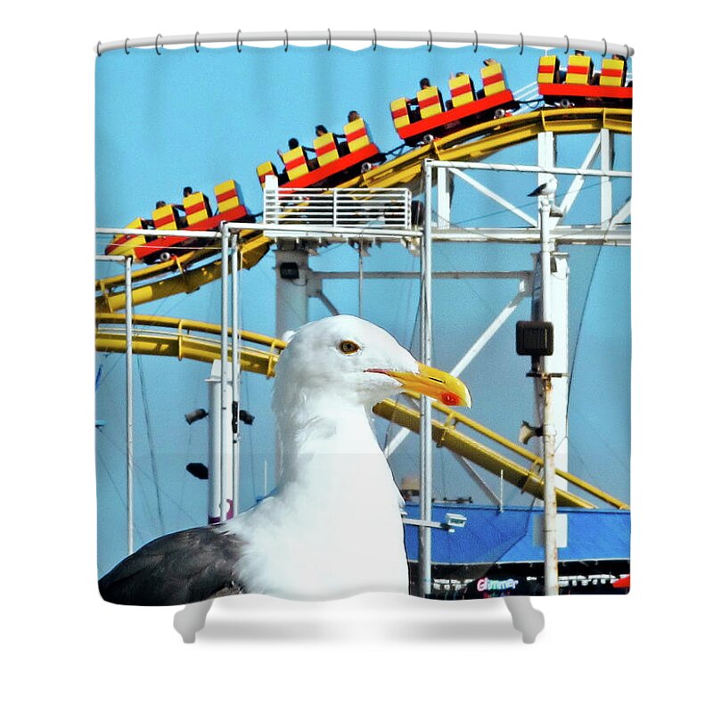 Rollercoaster Shower Curtain featuring the photograph Seagull at the Santa Monica Pier by Eyes Of CC