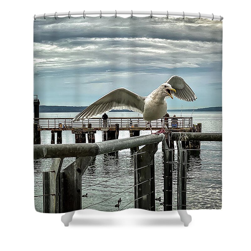 Seagull Shower Curtain featuring the photograph Seagull on the move by Anamar Pictures