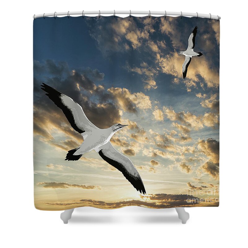 Digital Art Shower Curtain featuring the digital art Seagulls At Sunset by Phil Perkins