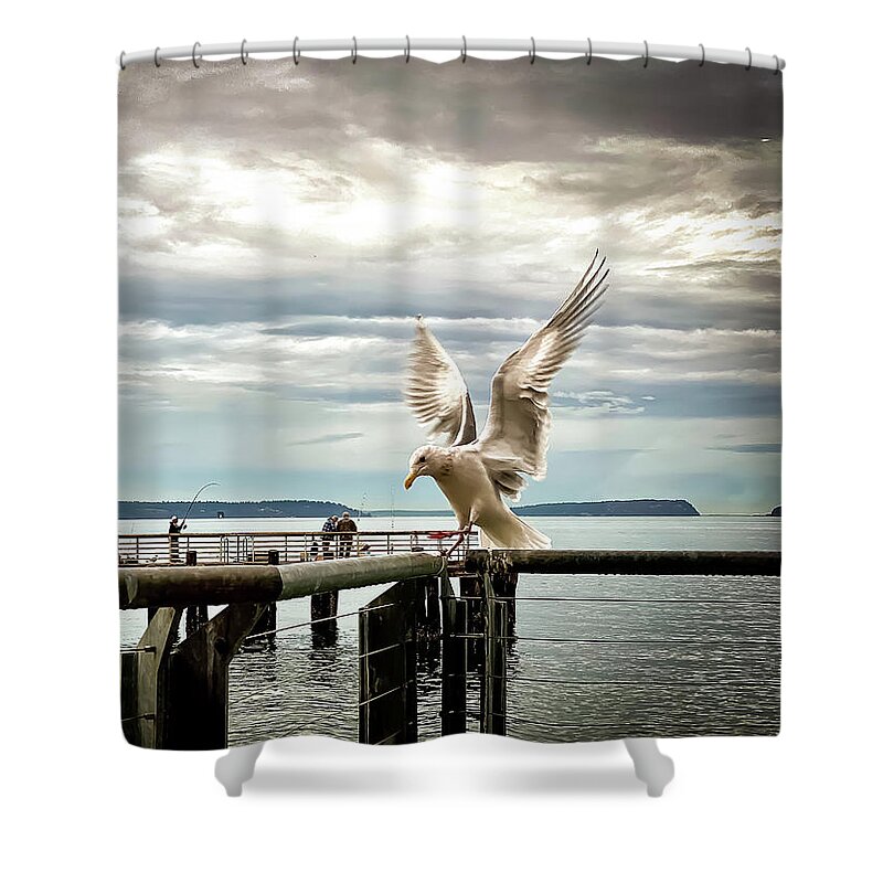 Seabird Shower Curtain featuring the photograph Seagull's landing by Anamar Pictures