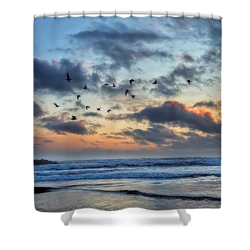 Sunset Shower Curtain featuring the photograph Seagulls Silhouette at Sunset by Jerry Abbott
