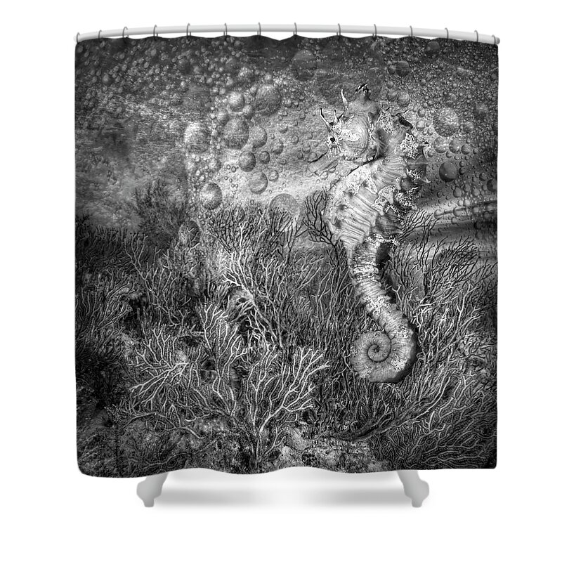 Animals Shower Curtain featuring the photograph Seahorse at the Reef Black and White by Debra and Dave Vanderlaan