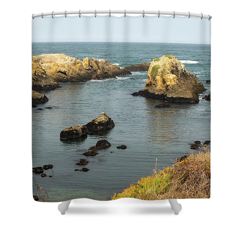 Nature Shower Curtain featuring the photograph Seal Cove by Frank Wilson