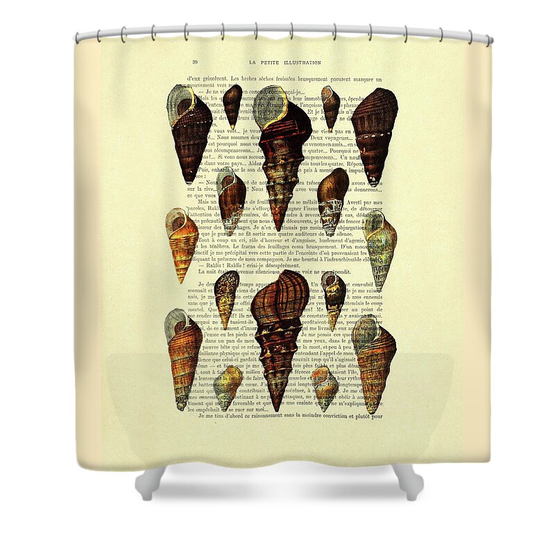Sea Shell Shower Curtain featuring the mixed media Seashell chart in color on French book page by Madame Memento