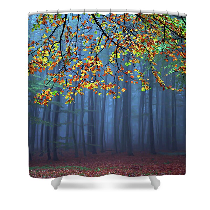 Fall Trees Shower Curtains