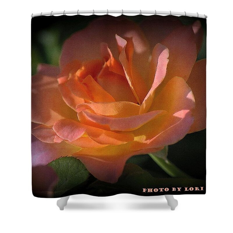 Rose Shower Curtain featuring the photograph Secret Rose by Lori Seaman
