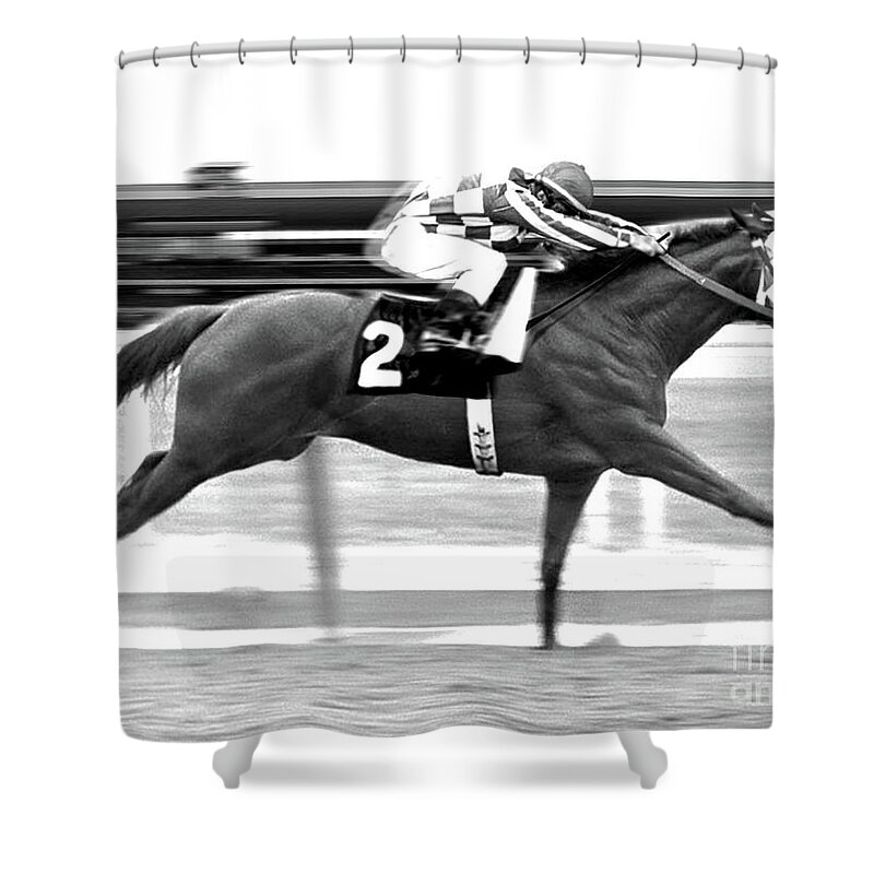 Secretariat Shower Curtain featuring the mixed media Secretariat, Belmont Stakes, back stretch by Thomas Pollart
