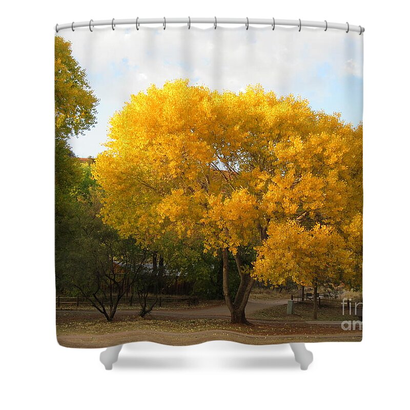 Sedona Shower Curtain featuring the photograph Sedona Cottonwood Tree Autumn Yellow Glowing by Mars Besso