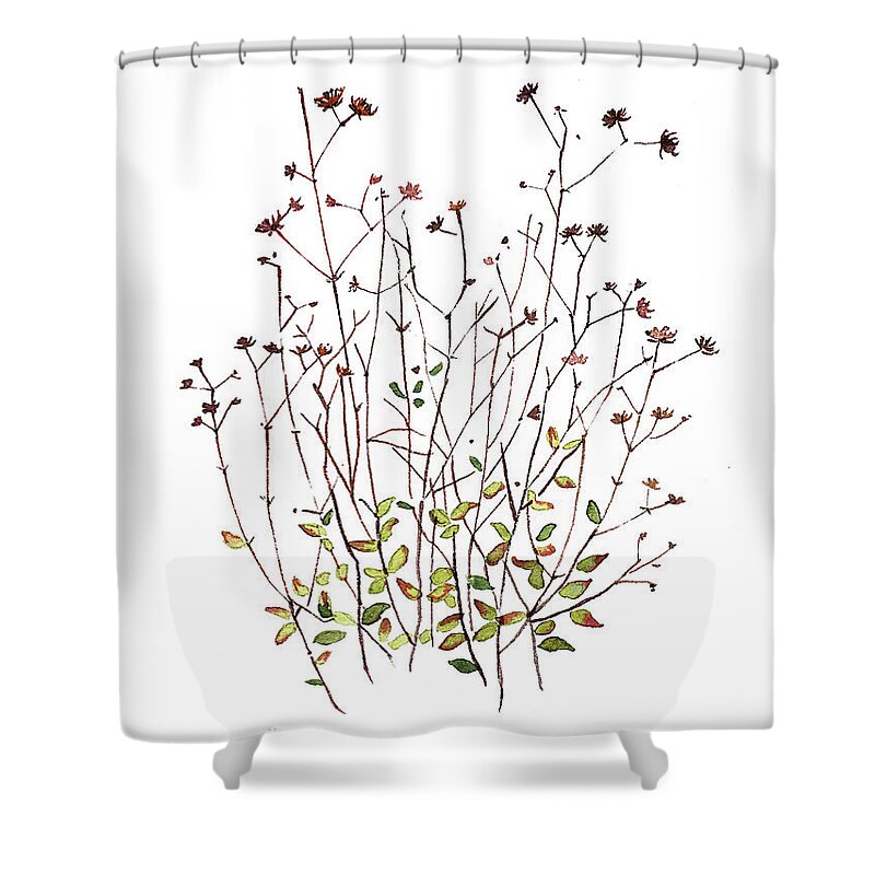 Seeds Shower Curtain featuring the painting Seeds and dried Flowers by Luisa Millicent