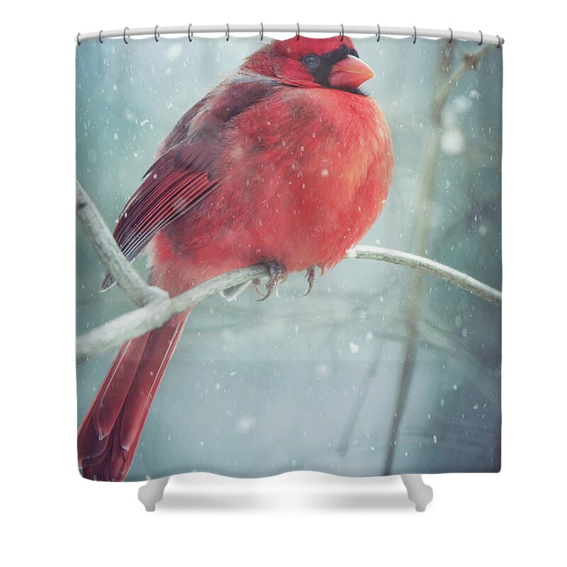Snow Shower Curtain featuring the photograph Seeing Red by Carrie Ann Grippo-Pike