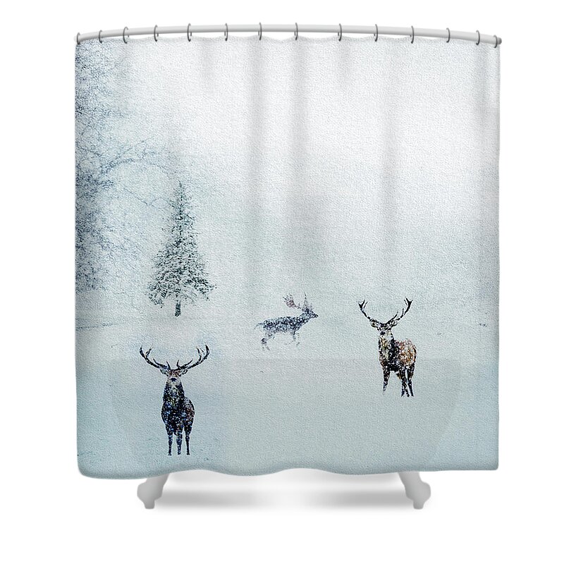 Winter Landscapes Shower Curtain featuring the mixed media Seeking Cover by Colleen Taylor