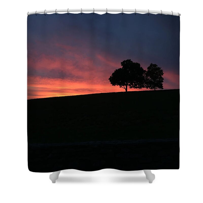 Sunset Shower Curtain featuring the photograph Sentinels of Sunset by Mark Truman