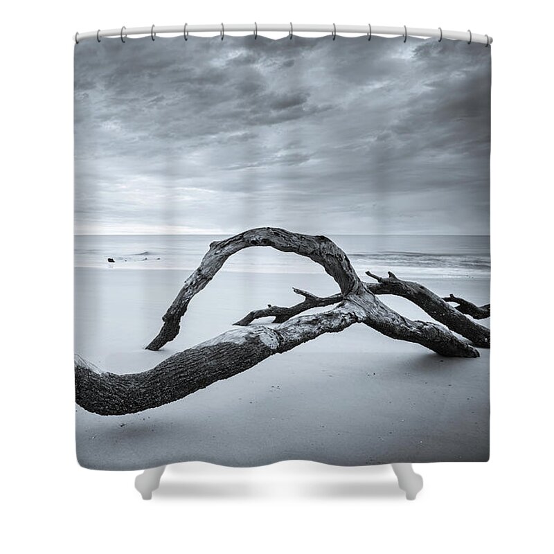 Driftwood Beach Shower Curtain featuring the photograph Serene Driftwood Beach In Black And White by Jordan Hill
