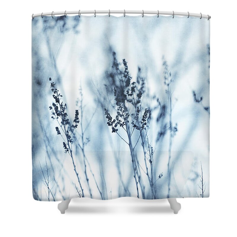 Garden Shower Curtain featuring the photograph Serene by Yasmina Baggili