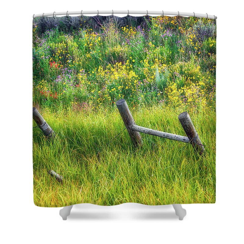Artistic Shower Curtain featuring the photograph Serenity by Rick Furmanek