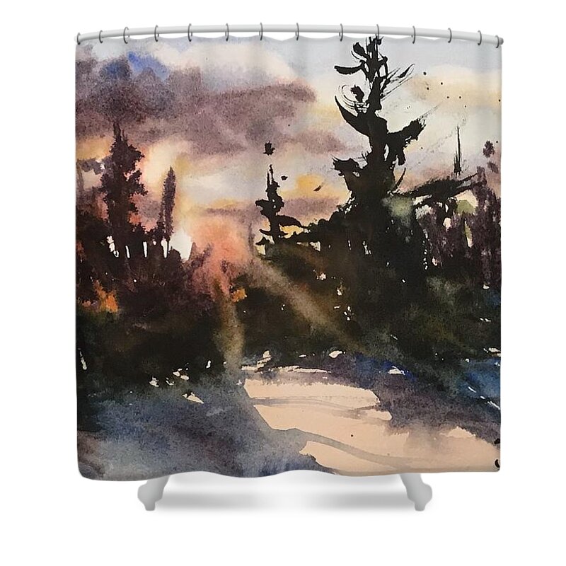 Sunset Shower Curtain featuring the painting Setting Light by Judith Levins
