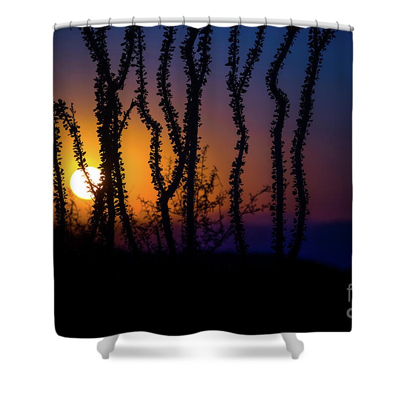 Sun Shower Curtain featuring the photograph Setting Sun by Lisa Manifold