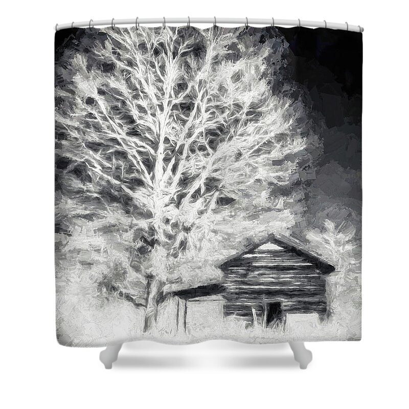 North Carolina Shower Curtain featuring the digital art Shade of a Tree fx by Dan Carmichael