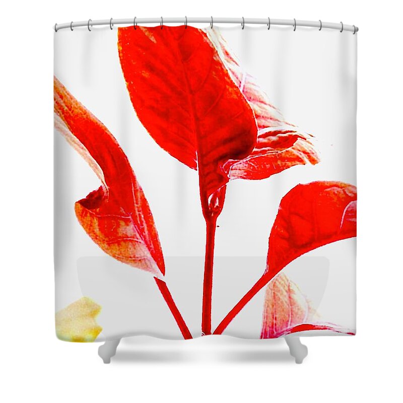 Flowers Plants Leaves Yellow Red Chartreuse Pink White Pattern Shower Curtain featuring the digital art Shades of Red by Lynne Paterson