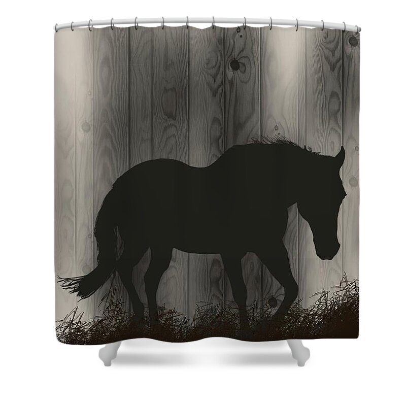 Horse Barn Gray Shower Curtain featuring the digital art Shadow #1 by Gail Kirtz