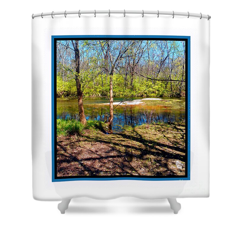  Shower Curtain featuring the photograph Shadow Branches by Shirley Moravec