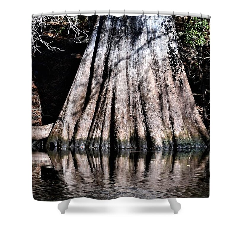 Shadows Before Spring Shower Curtain featuring the photograph Shadows Before Spring by Warren Thompson