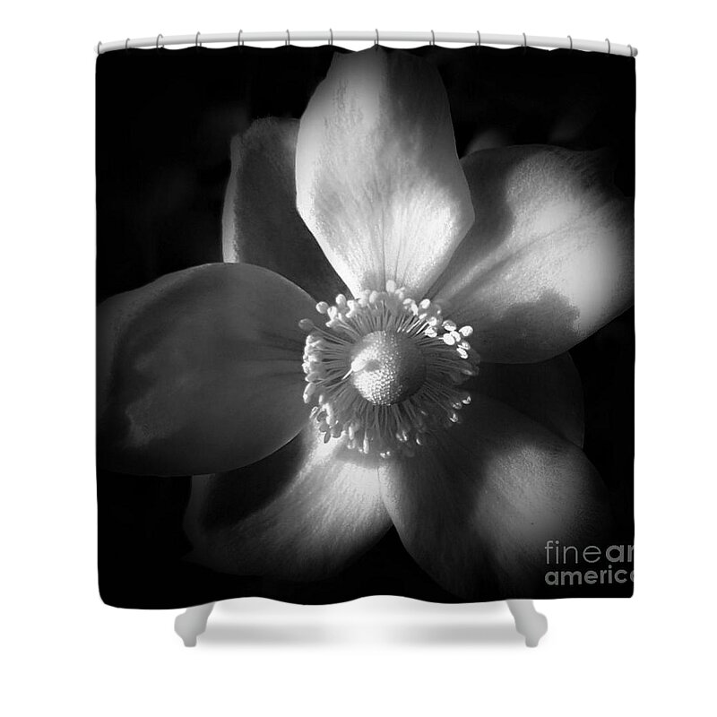 Photo Shower Curtain featuring the photograph Shadows Upon Me by Tracey Lee Cassin