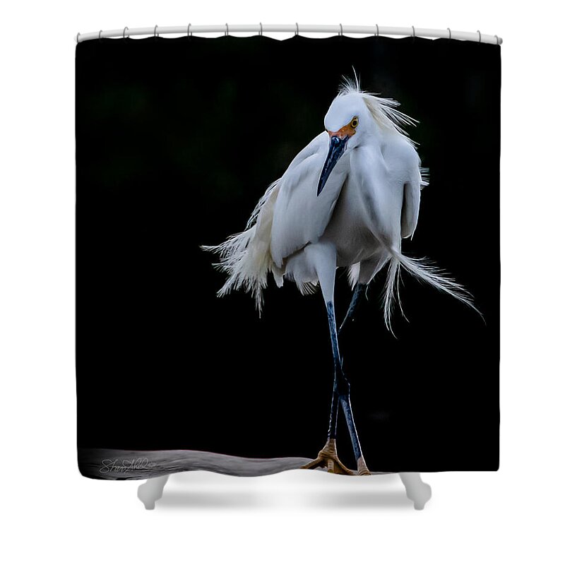 Bird Shower Curtain featuring the photograph Shall We Dance by Shara Abel